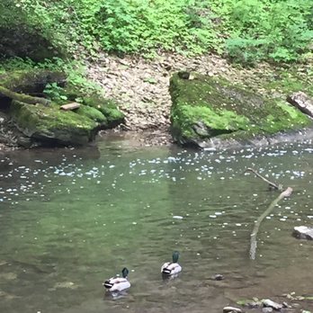 Hayden Falls Park - Parks Near Me - Dublin, Ohio