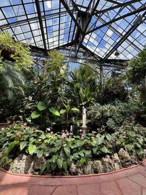Lincoln Park Conservatory (Free with Reservations) by null