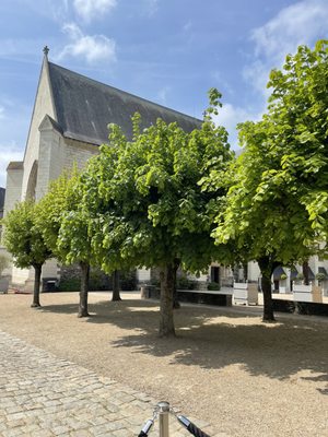 Château d'Angers by null