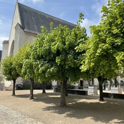 Château d'Angers