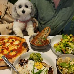 Brightwaters - Dog friendly patio