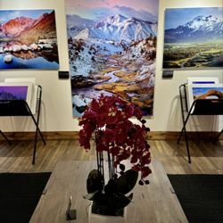 The Sierra Light Gallery