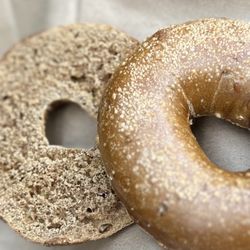 House of Bagels