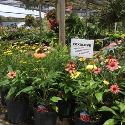 Cline's Nursery