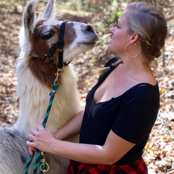 Smoky Mountain Llama Treks - Hiking Near Me - Cosby, Tennessee Smoky Mountain Llama Treks - Hiking Near Me - Cosby, Tennessee