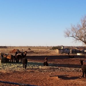 COLONIAL PARK GOLF COURSE Updated August 2025 15 Photos 1300