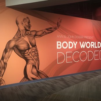 The Tech Interactive - Body Worlds Decoded - Museums Near Me - San Jose, California The Tech Interactive - Body Worlds Decoded - Museums Near Me - San Jose, California