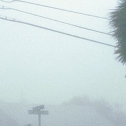 ServiceMaster Professional Services Citrus County - Hurricane Damage