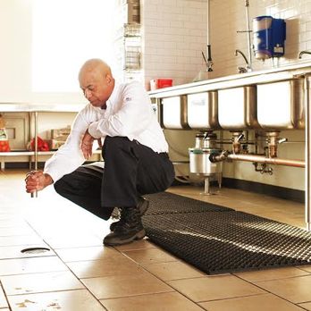 Rose Pest Solutions - Pest Control Near Me - Wheeling, Illinois Rose Pest Solutions - Pest Control Near Me - Wheeling, Illinois
