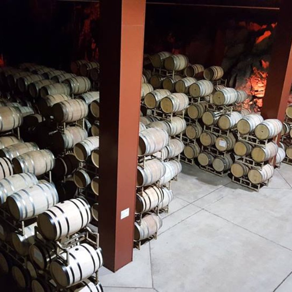 Monte Xanic - Cellar - Wineries Near Me - Valle de Guadalupe, BCN