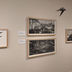 Catalina Museum