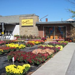 Doebel's Flowers