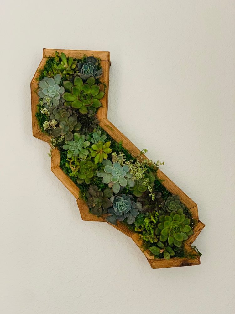 KILEEN’S GARDEN BOUTIQUE Updated September 2024 41 Photos & 11