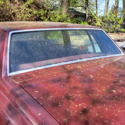 Tint Masters - Car has moved 2 to 3 times over 6 months. What should I do?