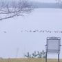Photo of Alamoosook Lakeside Inn