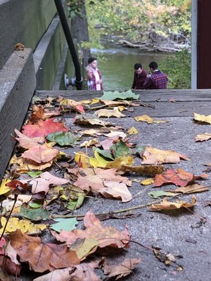 Dexter Cider Mill by null