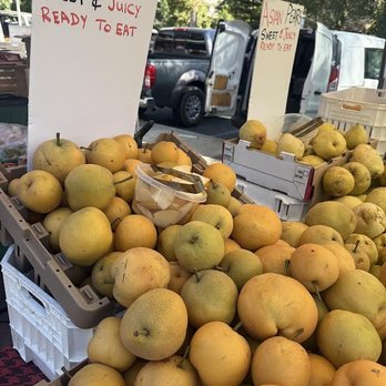 Davis Farmers Market - Asian Pear - Farmers Market Near Me - Davis, California