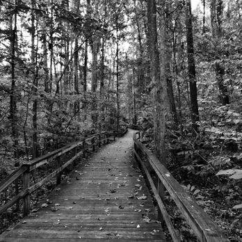 The Bog Garden - Parks Near Me - Greensboro, North Carolina