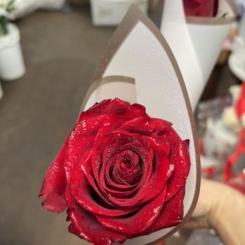 Rose Flowers - Florists Near Me - Santa Ana, California Rose Flowers - Florists Near Me - Santa Ana, California