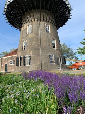 Museum De Lakenhal by null