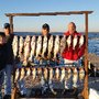 Photo of Big Bite Striper Guide Service