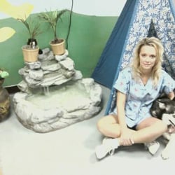 Little Critters