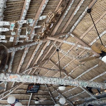 Capri Fish House - Dollar bills lining the walls on the screened deck - Seafood Near Me - Naples, Florida Capri Fish House - Dollar bills lining the walls on the screened deck - Seafood Near Me - Naples, Florida