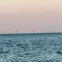 Photo of Anna Maria Bayfront Park