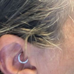 Precision Body Arts - Daith