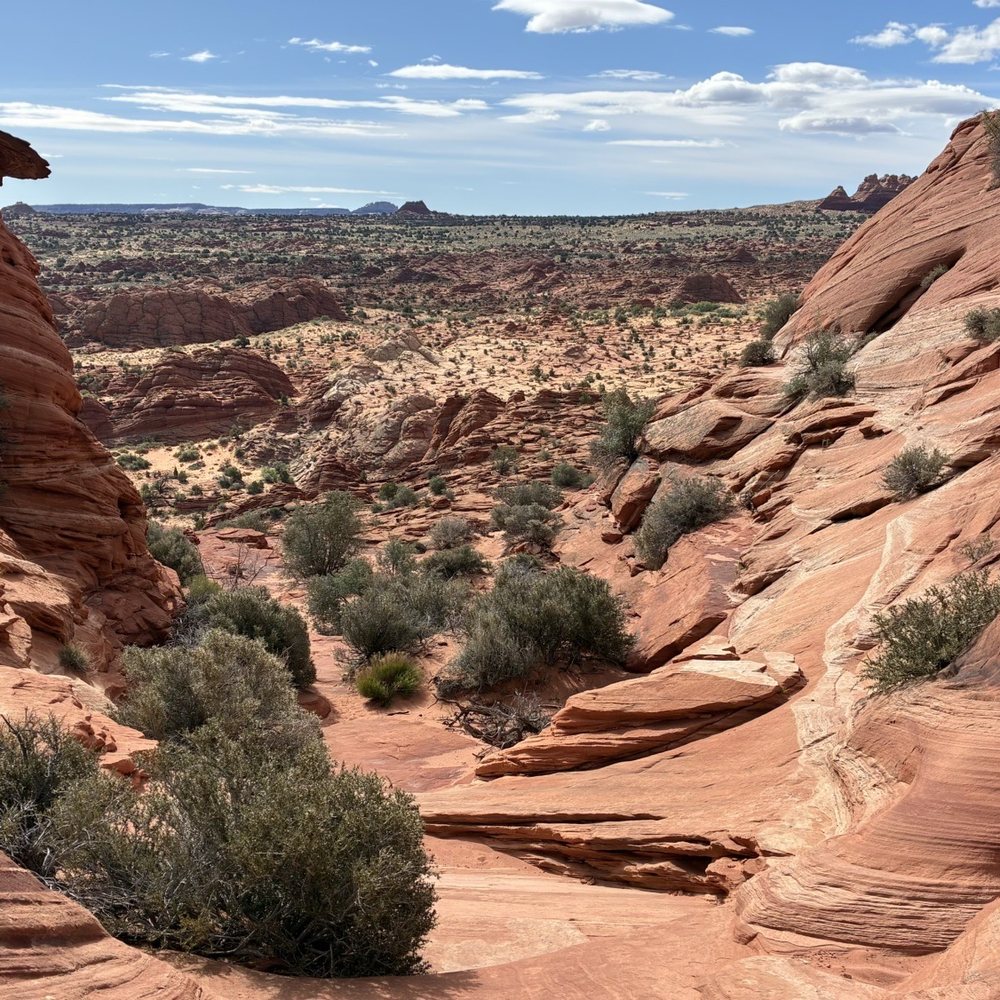 The Wave - Landmarks & Historical Buildings Near Me - Kanab, Utah The Wave - Landmarks & Historical Buildings Near Me - Kanab, Utah
