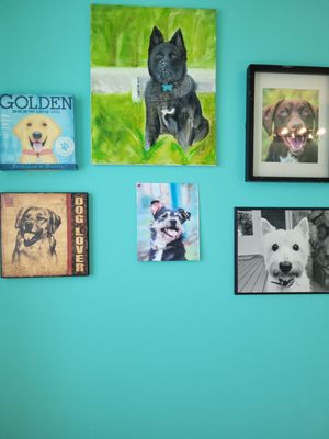 Mutts Coffee Roasters by null