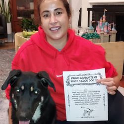 What A Good Dog LA - Wouldn't walk well on leash or pay attention. In 6 weeks dog listens, understands and walks well on the leash with no prong or choke collars
