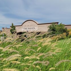 The Dalles