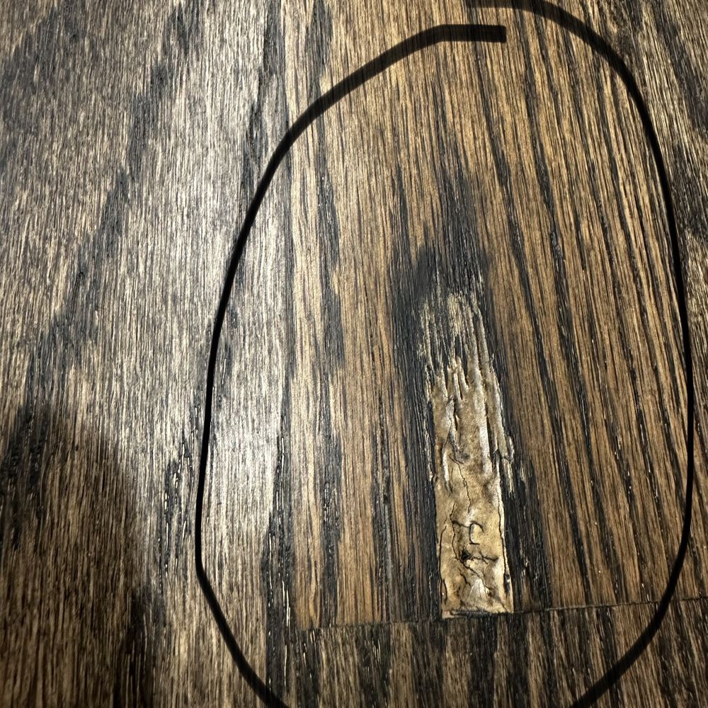 Mr. Sandless Wood Floor Refinishing of Charlotte - Flooring Near Me Mr. Sandless Wood Floor Refinishing of Charlotte - Flooring Near Me