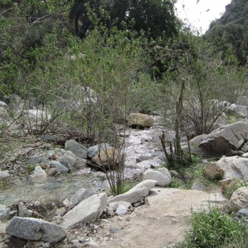 Dawn Mine Hike - After heavy rains there is water everywhere. - Hiking Near Me - Altadena, California