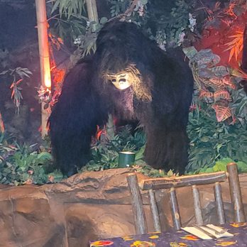 Rainforest Cafe - American Near Me - Sunrise, Florida