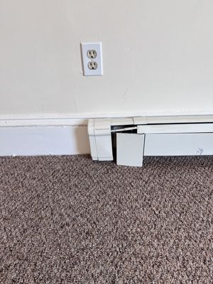 Taylor & Murphy Logo