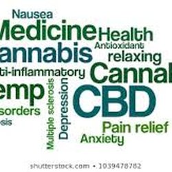 HighPoint Hemp
