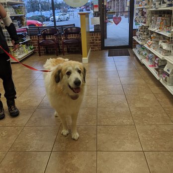 Potomac Valley Veterinary Hospital - Bella checking out the merch - Veterinarians Near Me - Fairfax, Virginia Potomac Valley Veterinary Hospital - Bella checking out the merch - Veterinarians Near Me - Fairfax, Virginia