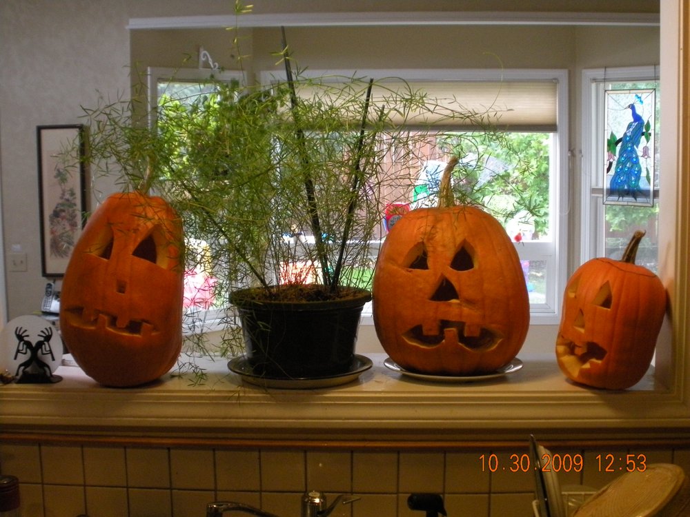 Brighter Beginnings Childcare & Preschool - childcare center in Eugene, OR