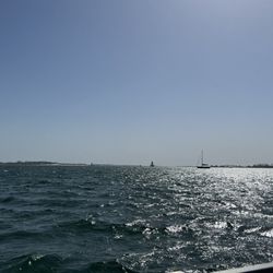 The view