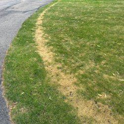TruGreen Lawn Care - Damage