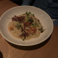 Bayside Variety Kitchen & Bar - Scallops and risotto