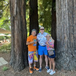 Having fun at Sequoia Grove