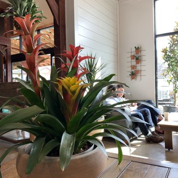 Café Equinox - Home & Garden Near Me - Shawnee, Kansas Café Equinox - Home & Garden Near Me - Shawnee, Kansas