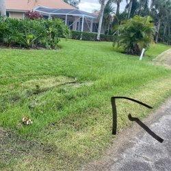 St. Lucie Trail Golf Club - I guess they didnt see this area to cut in that straight path?