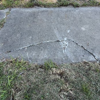 Greater Bay Area Tree & Arborist Services - Cracked sidewalk - Tree Services Near Me - Seminole, Florida Greater Bay Area Tree & Arborist Services - Cracked sidewalk - Tree Services Near Me - Seminole, Florida