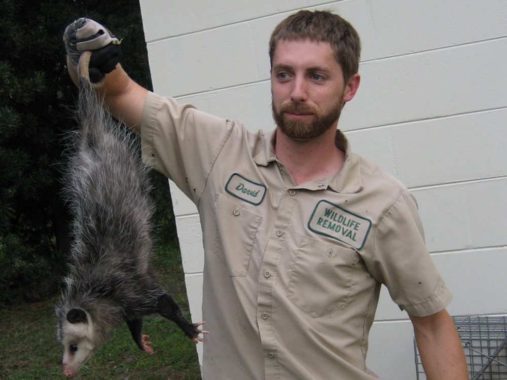 PEST ANIMAL REMOVAL ATLANTA Updated September 2024 22 Photos