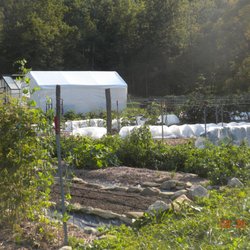 Leicester Grocery and Garden - Our farm