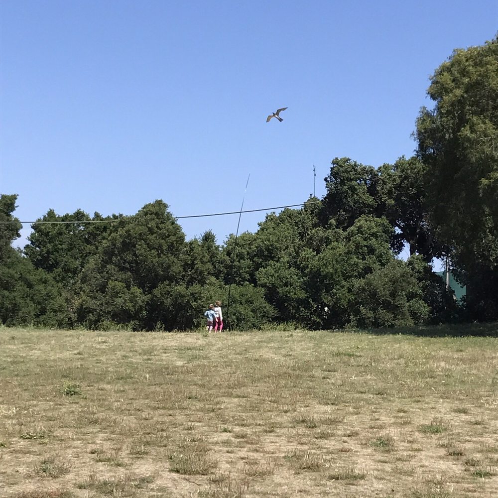 Odonata - Nice field outside for kids to run - Wineries Near Me - Salinas, California